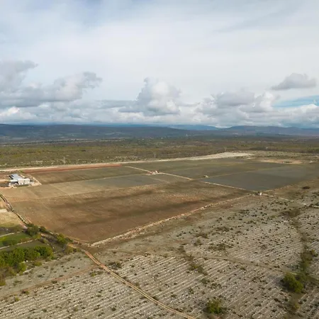 Ive Winter * Podumci