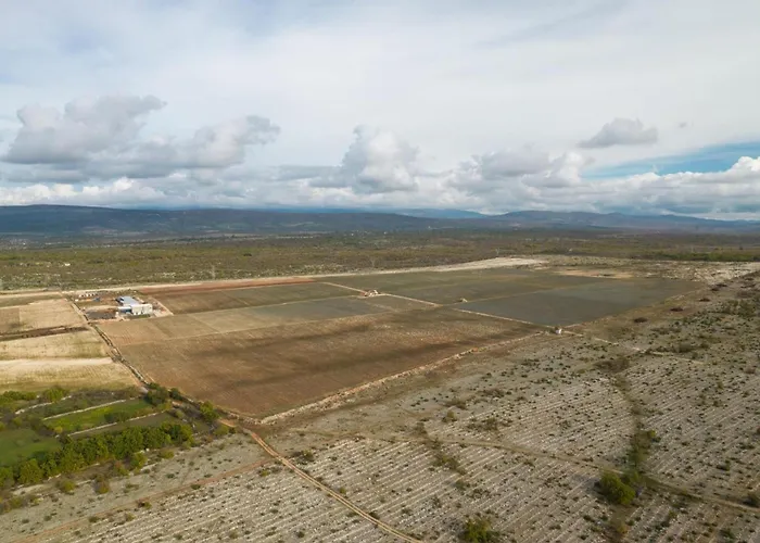 Ive Winter * Podumci